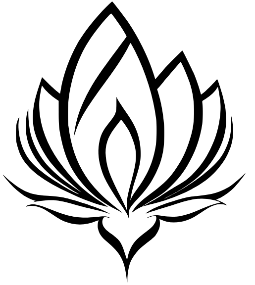 Software Application